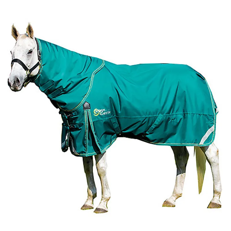 Shires Storm Cheeta 200g Turnout Rug and Neck Set - Teal 
